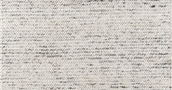 Momeni Andes And-8 Ivory Area Rug 3 ft. X 5 ft. Rectangle